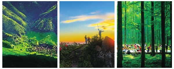 锦绣潇湘 清凉消夏丨森林 清凉童话王国