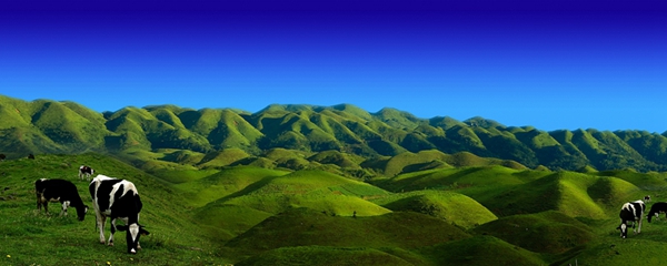 草原星空露营，湖南这个国家公园承包你的夏天