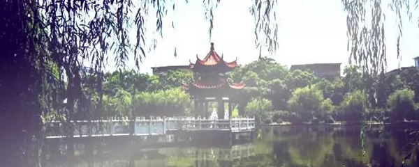 湖南这些校园颜值爆表，我怕是上了个假！学！校！