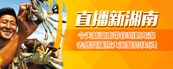 回放丨走进后厨，鹤龙湖的大闸蟹吃法还真多