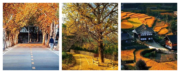 一到10 、11月份，湖南这些地方就美成了仙境