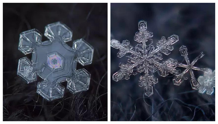 “傻瓜相机”拍9年雪花，拍出不可思议的美
