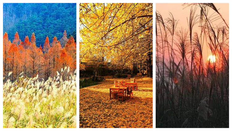 5个明信片级风景区，一揽湖湘最美秋景