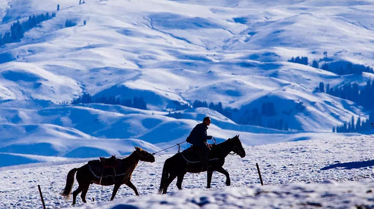 不用去雪乡 这5个地方藏着中国大地最灿烂的雪景！