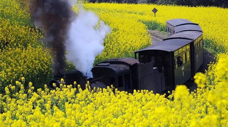 嘉阳蒸汽小火车，坐上去就开往春天