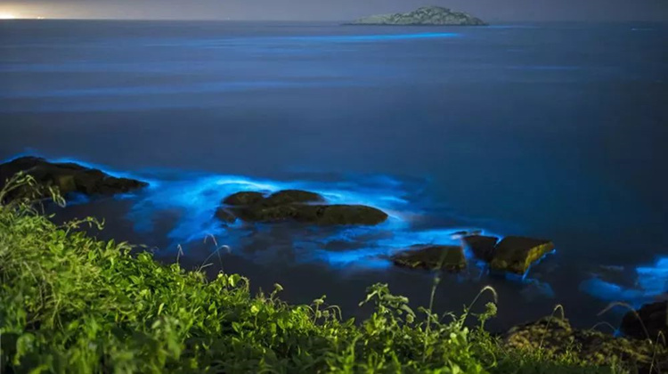 长沙直飞约1个半小时去看看这座拥有罕见荧光海的清新海岛吧！