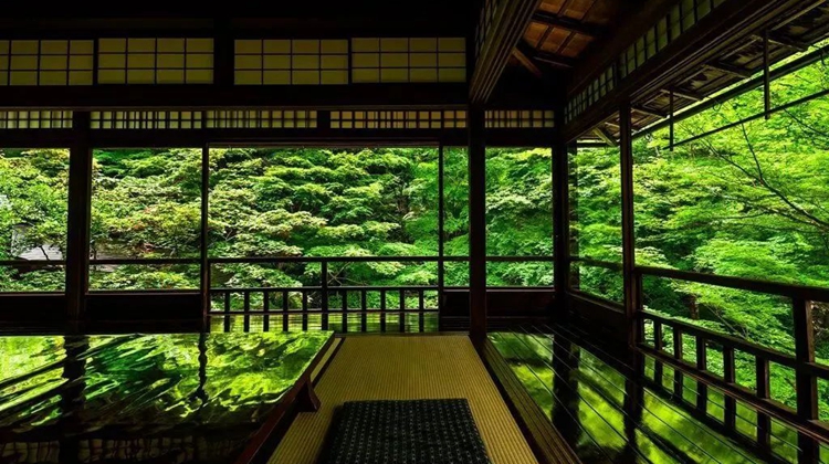 京都的新绿简直美哭了！错过再等一年！