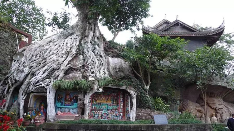 这座小县城《走近科学》都曾经来解谜，竟然藏着一个“小吴哥”！