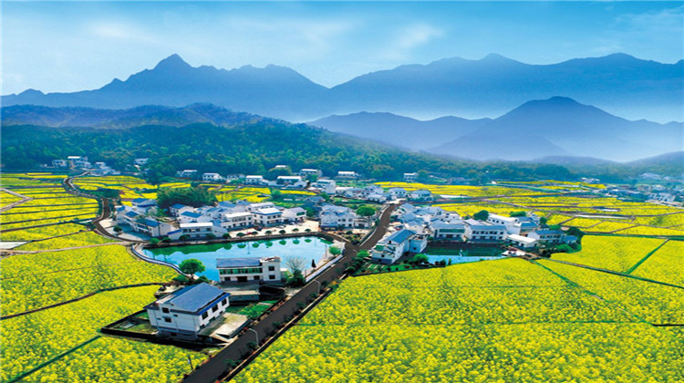 韶山乡：为民服务不休岗