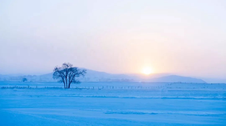 看雪不用跑去北海道 国内这处秘境才是真正的梦幻雪国