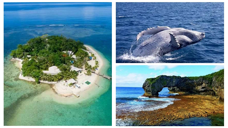指南丨即将与中国办旅游年的8个太平洋岛国好玩吗