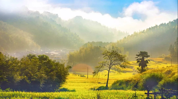 这个低调的小县城集齐了初冬所有风景 美到窒息！
