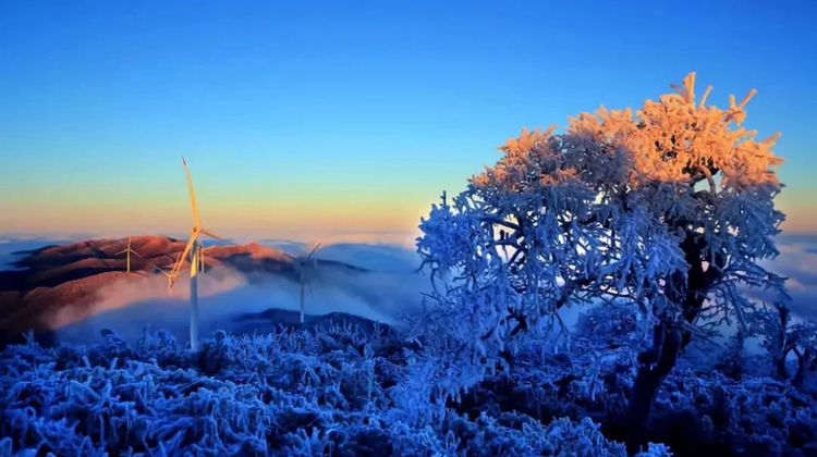 冬日潇湘｜等候大熊山冬季第一场雪
