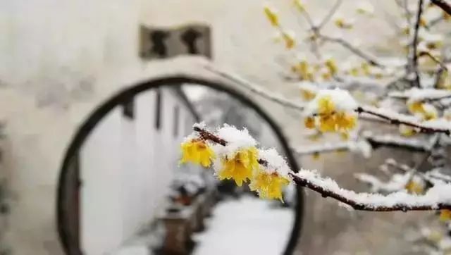 最中国的雪 下在江南！