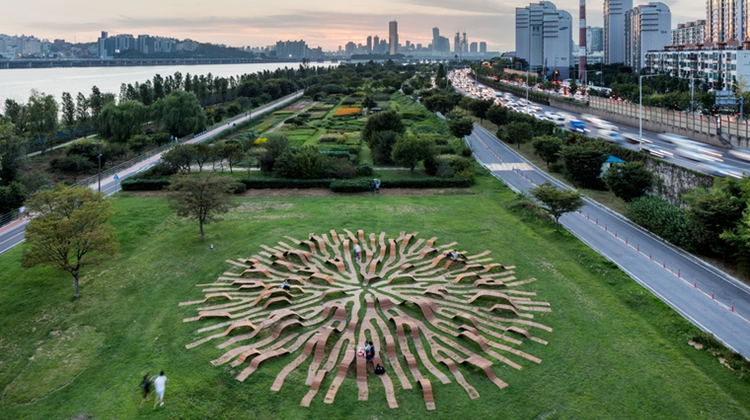 韩国根系长凳：公园草地绽放的“一朵花”