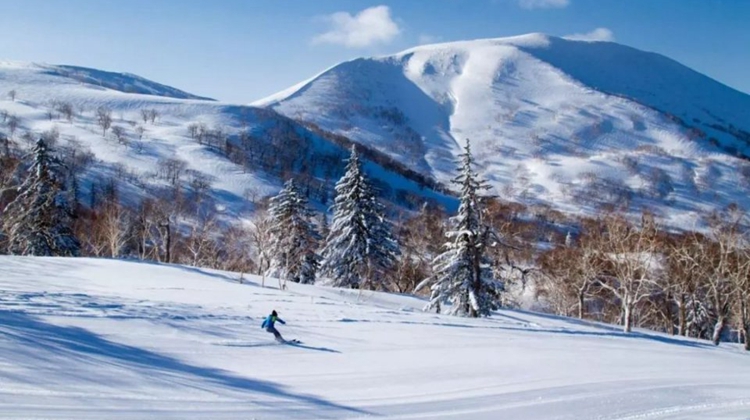 原来北海道除了看雪 还有这么多打开方式！