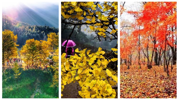 “撩人”！湖南这些最美赏秋地，惊艳一季！