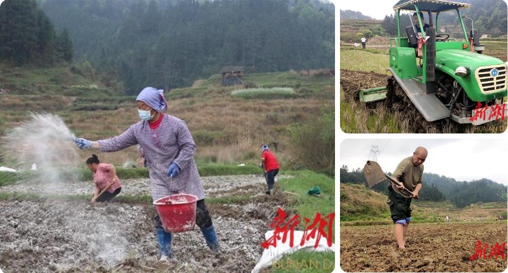 图集丨扶贫基地“赶春潮”