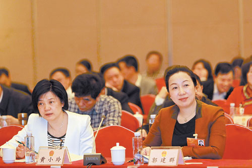 湖南代表团代表审议大会报告
