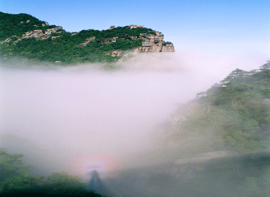 正如李白的《望庐山五老峰》所言,"庐山东南五老峰,青天削出金芙蓉.