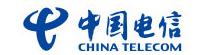 中国电信（2013年度合作商）