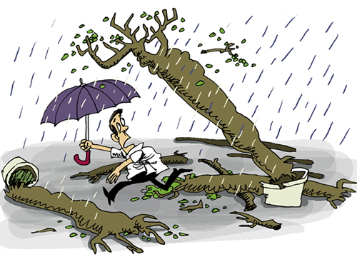 【新闻漫画】倒掉的大树,问题在根上