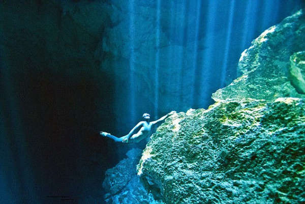 西班牙夫妻惊险裸潜探秘海洋世界