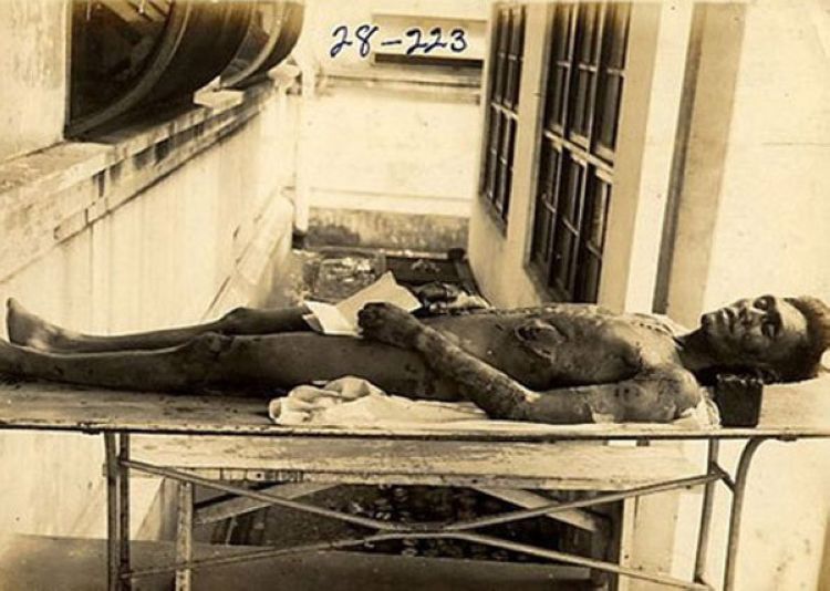 詹森红狐731历史图片