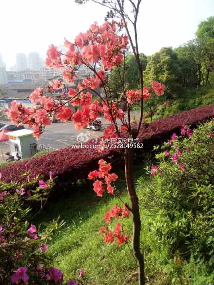 迷失在这份地点