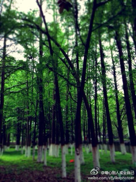 噁心别人成全自己