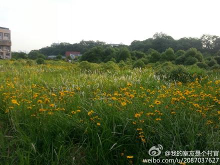 我的室友是个村官