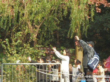 长沙律师钟致远