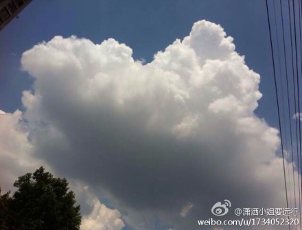 潇洒小姐要远行