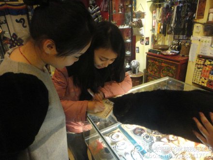 张智商的林脑残思密达