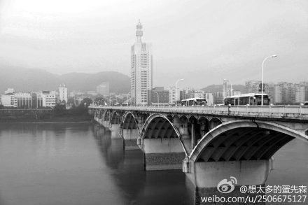 想太多的蛋先森