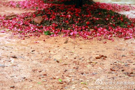 想太多的蛋先森