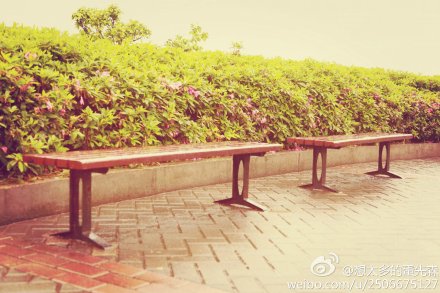 想太多的蛋先森