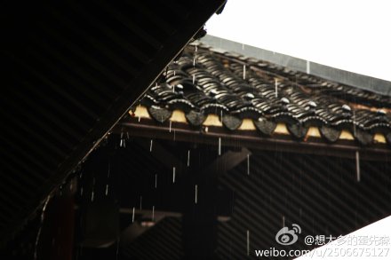 想太多的蛋先森