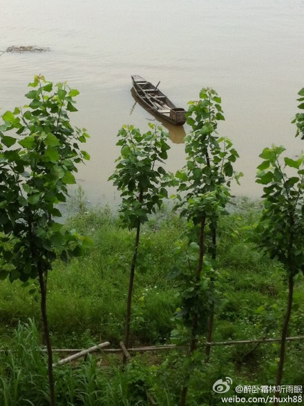 醉卧霜林听雨眠
