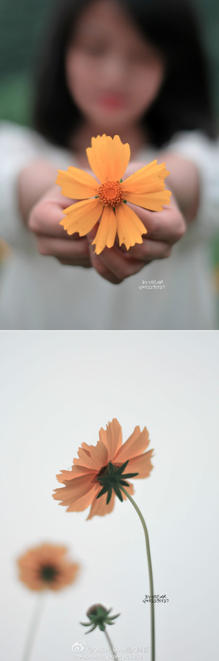 Oscar_Gao高大帅哥