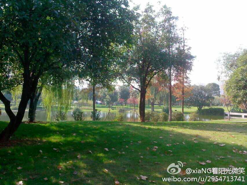 xiaNG着阳光微笑