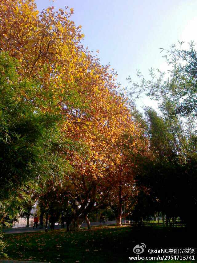 xiaNG着阳光微笑