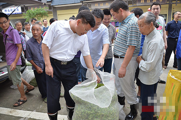 《書記去哪兒》桂東篇 譚建上茶山