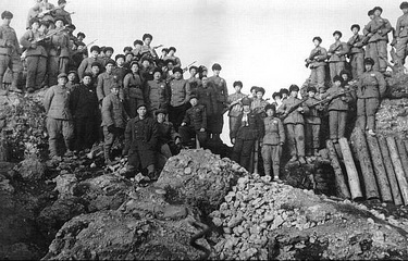 桑植700退伍军人农村显身手