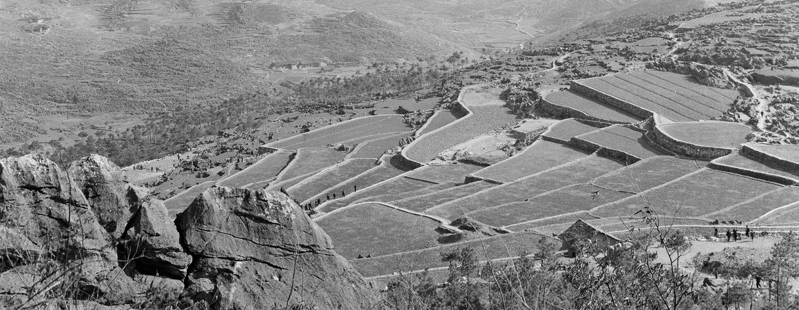 野鸡坪大队石山开成良田