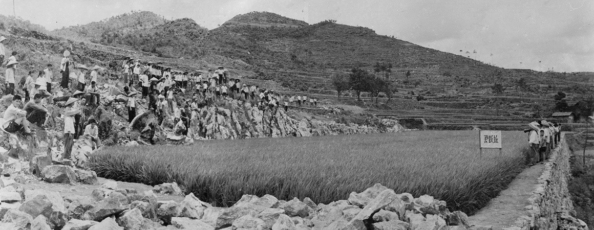 1970年7月野鸡坪大队