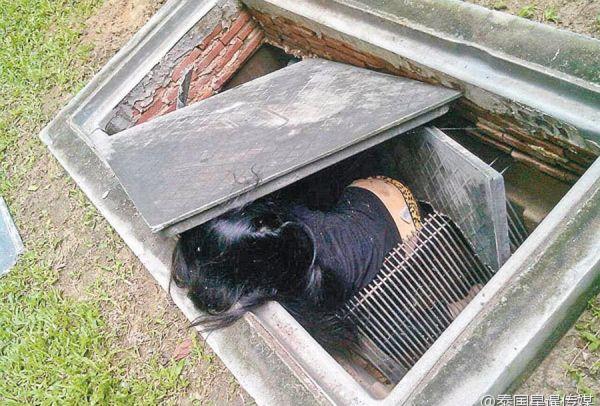 的博乐大学大学新校区内,中国女留学生黄琦嘉尸体於一下水道内被发现