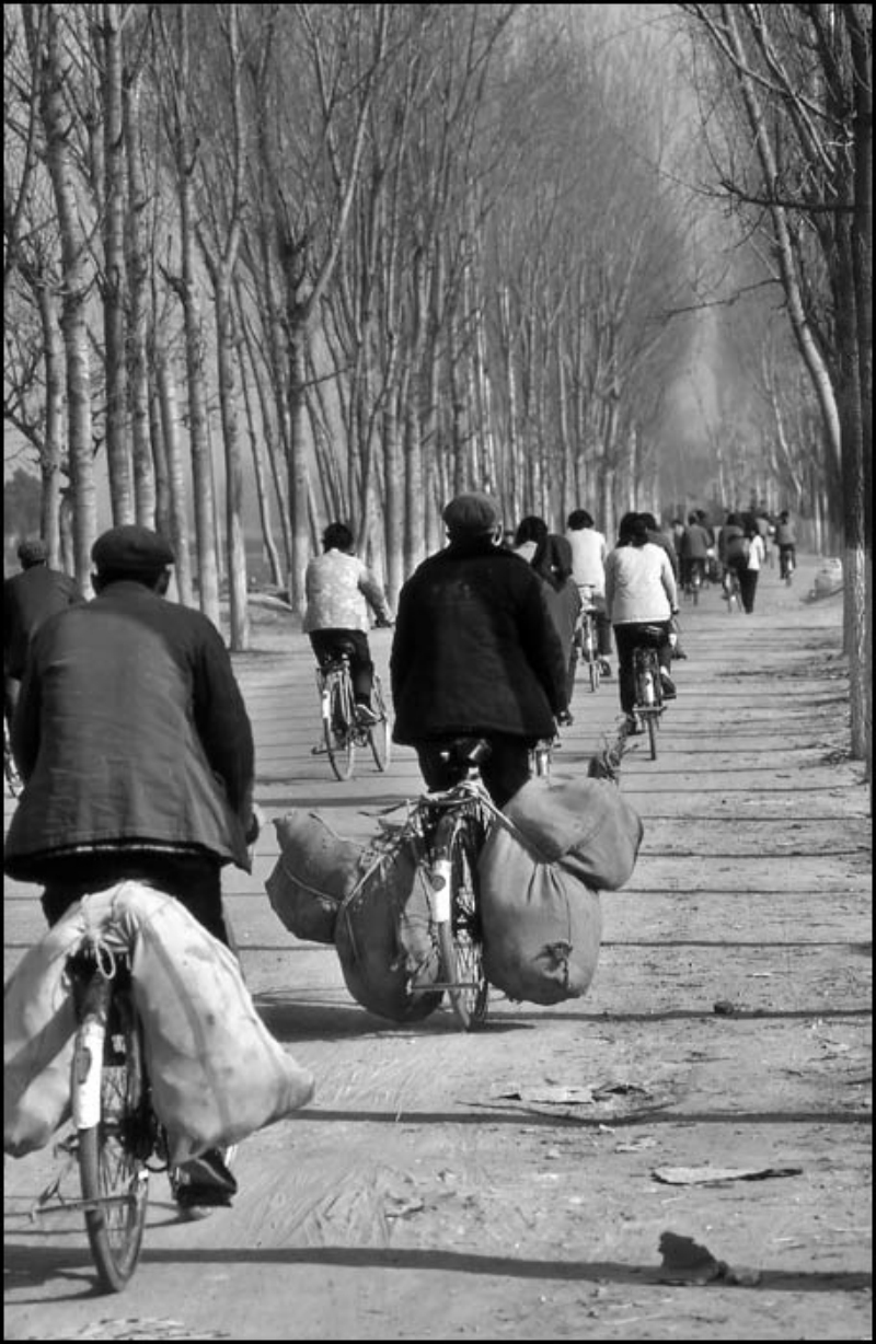 黑白记忆的80年代