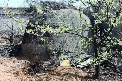 北京农家院中现古墓清末时曾被守坟人交易图