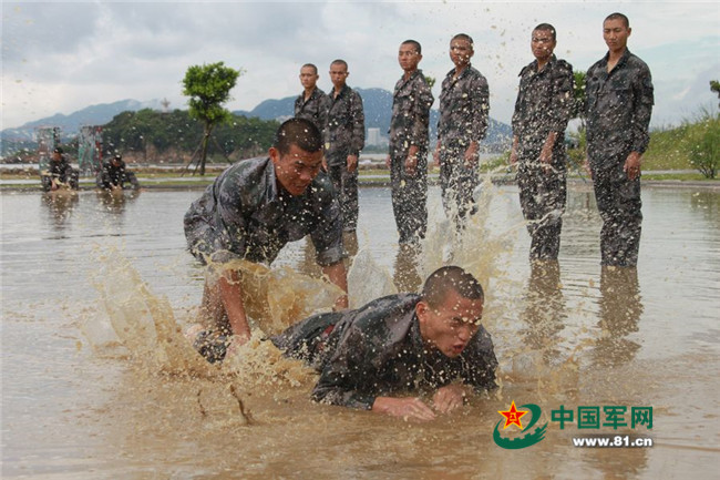 两栖侦察兵图片